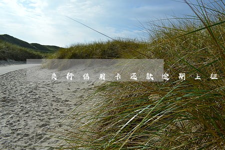 交行信用卡还款逾期上征信吗 交行信用卡还款逾期上征信吗