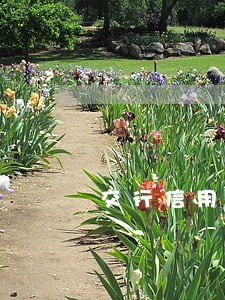 交行信用卡还错了逾期了怎么办