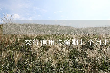 交行信用卡逾期1个月上海 交行信用卡逾期1个月上海