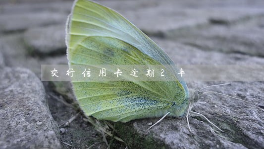 交行信用卡逾期2年 交行信用卡逾期2年