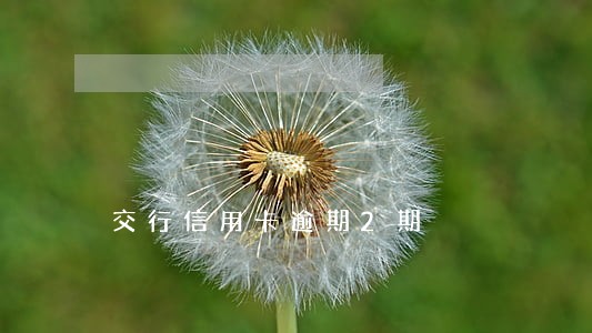 交行信用卡逾期2期 交行信用卡逾期2期