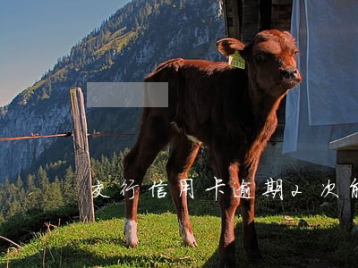 交行信用卡逾期2次能贷款吗 交行信用卡逾期2次能贷款吗