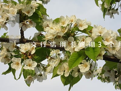 交行信用卡逾期3个月后果 交行信用卡逾期3个月后果
