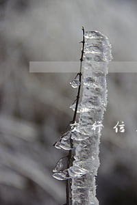 交行信用卡逾期3月怎么协商 交行信用卡逾期3月怎么协商