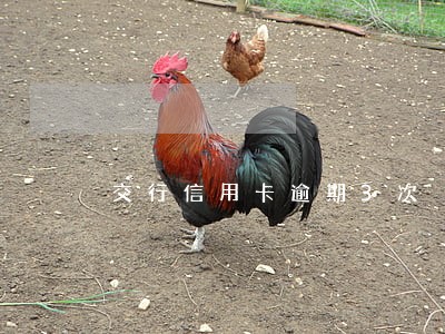 交行信用卡逾期3次 交行信用卡逾期3次