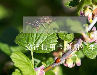 交行信用卡逾期4年怎么协商 交行信用卡逾期4年怎么协商