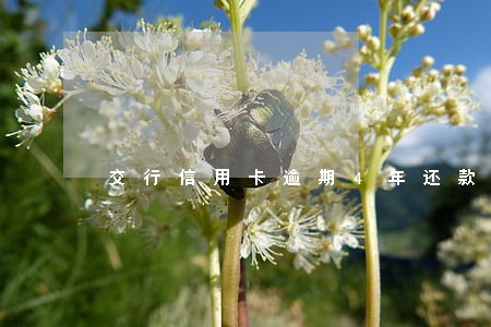 交行信用卡逾期4年还款还能用吗