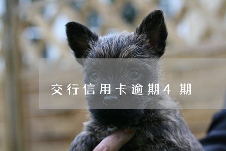 交行信用卡逾期4期
