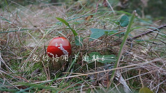 交行信用卡逾期6-7天