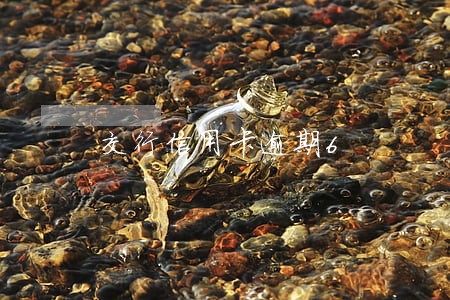 交行信用卡逾期6 交行信用卡逾期6