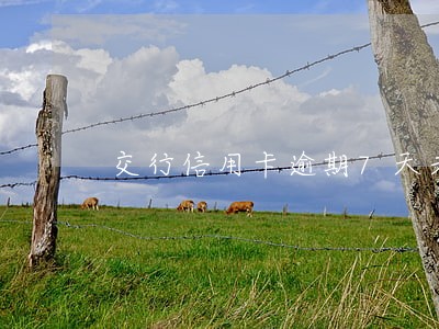 交行信用卡逾期7天未还