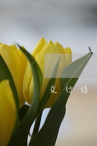 交行信用卡逾期90天内会上门吗 交行信用卡逾期90天内会上门吗