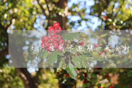 交行信用卡逾期一天会封卡吗 交行信用卡逾期一天会封卡吗