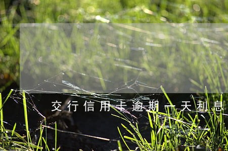 交行信用卡逾期一天利息是多少 交行信用卡逾期一天利息是多少