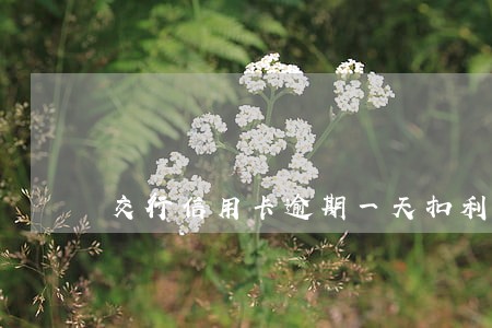 交行信用卡逾期一天扣利息吗