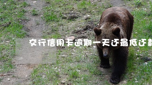 交行信用卡逾期一天还最低还款 交行信用卡逾期一天还最低还款