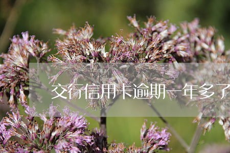 交行信用卡逾期一年多了 交行信用卡逾期一年多了