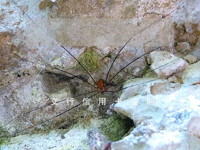 交行信用卡逾期一次七天 交行信用卡逾期一次七天