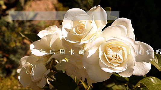交行信用卡逾期七天会上征信吗