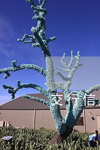 交行信用卡逾期三天几点还款 交行信用卡逾期三天几点还款