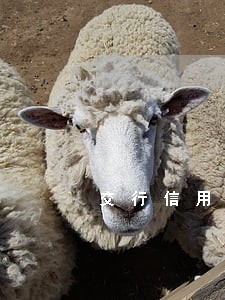 交行信用卡逾期三天算逾期吗 交行信用卡逾期三天算逾期吗