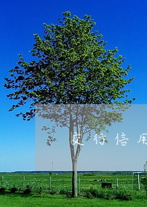 交行信用卡逾期上征信如何消除