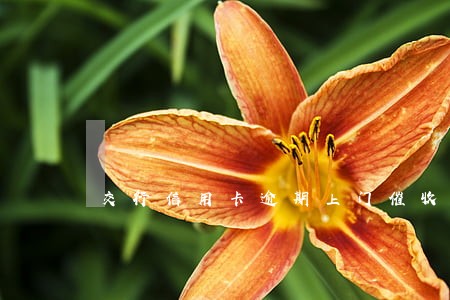 交行信用卡逾期上门催收 交行信用卡逾期上门催收