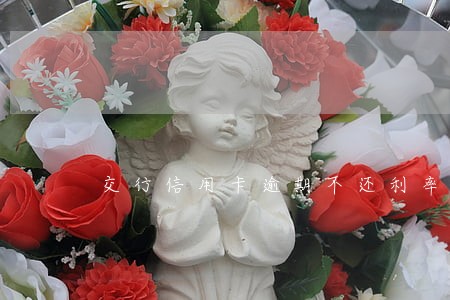 交行信用卡逾期不还利率 交行信用卡逾期不还利率