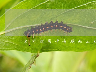 交行信用卡逾期两三天有事吗