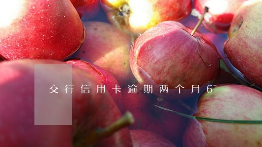 交行信用卡逾期两个月6 交行信用卡逾期两个月6