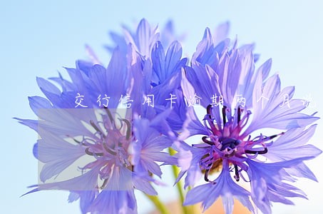 交行信用卡逾期两个月说要上门 交行信用卡逾期两个月说要上门