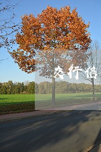 交行信用卡逾期两月被停卡