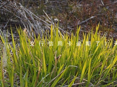 交行信用卡逾期了7天严重吗