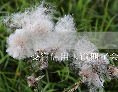 交行信用卡逾期了会怎样 交行信用卡逾期了会怎样