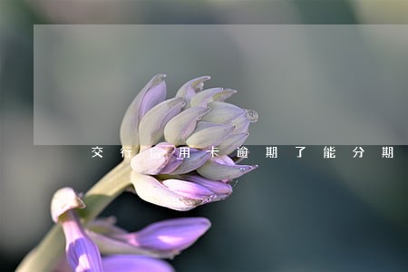 交行信用卡逾期了能分期还款