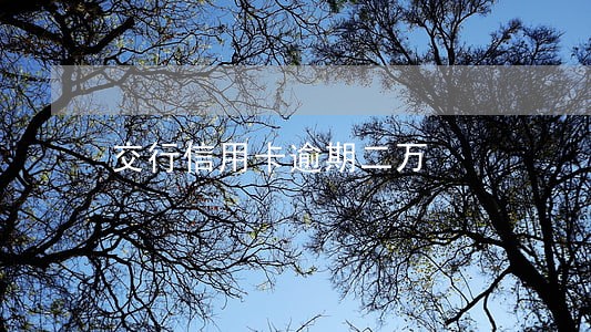 交行信用卡逾期二万 交行信用卡逾期二万