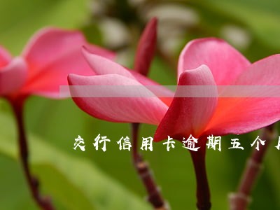 交行信用卡逾期五个月 交行信用卡逾期五个月