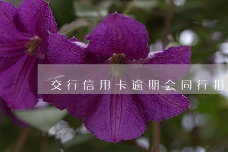 交行信用卡逾期会同行扣款吗