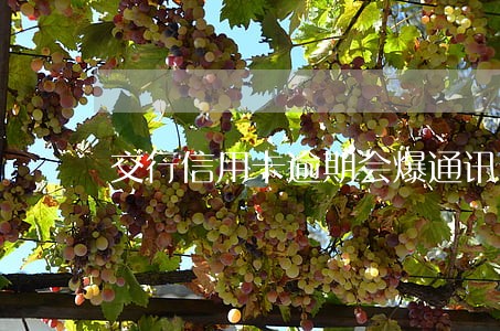 交行信用卡逾期会爆通讯录吗
