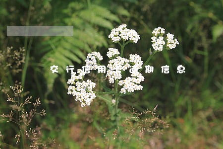 交行信用卡逾期信息 交行信用卡逾期信息