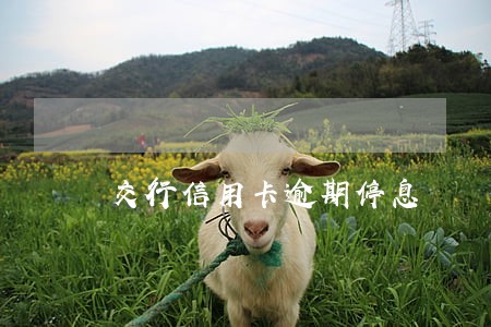 交行信用卡逾期停息 交行信用卡逾期停息