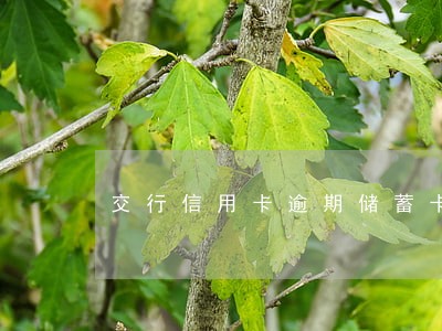 交行信用卡逾期储蓄卡秒扣 交行信用卡逾期储蓄卡秒扣