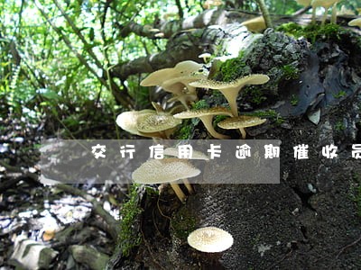 交行信用卡逾期催收员手段 交行信用卡逾期催收员手段