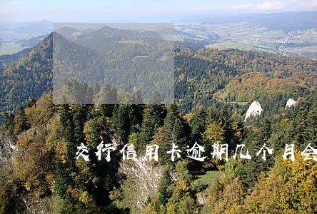 交行信用卡逾期几个月会起诉 交行信用卡逾期几个月会起诉
