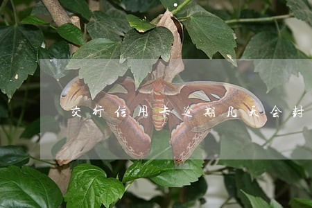 交行信用卡逾期几天会封卡吗 交行信用卡逾期几天会封卡吗