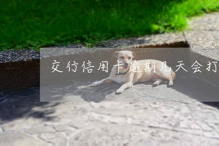 交行信用卡逾期几天会打电话 交行信用卡逾期几天会打电话