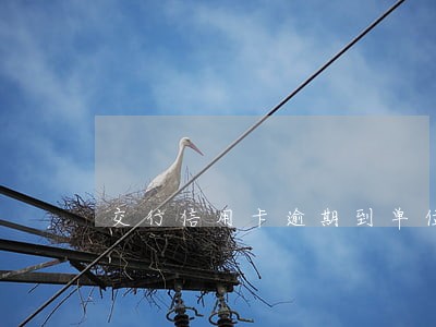 交行信用卡逾期到单位 交行信用卡逾期到单位