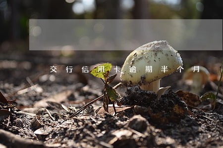 交行信用卡逾期半个月