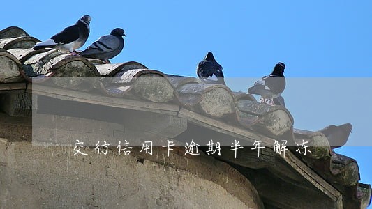 交行信用卡逾期半年解冻 交行信用卡逾期半年解冻