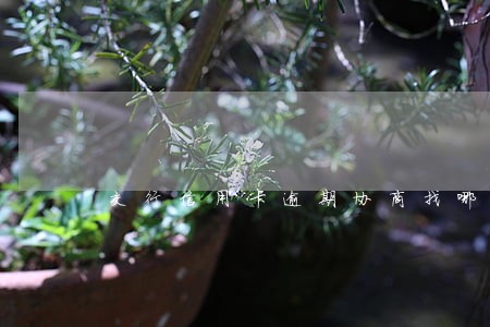 交行信用卡逾期协商找哪里